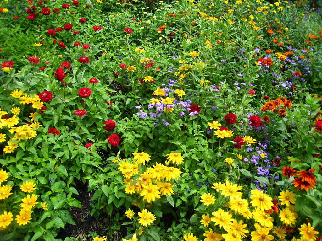 Botanical Gardens 2010 0325.jpg - The Chicago Botanic Gardens. Wear comfortable shoes, and be prepared to enjoy the landscape for a day.